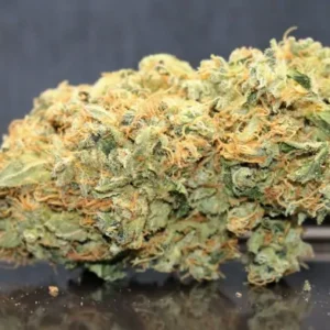 Buy Gorilla Glue 5g