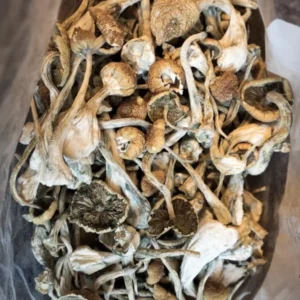 Buy Magic Shrooms 5g